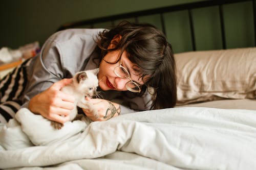 Free Siamese Kitten held by a Woman  Stock Photo